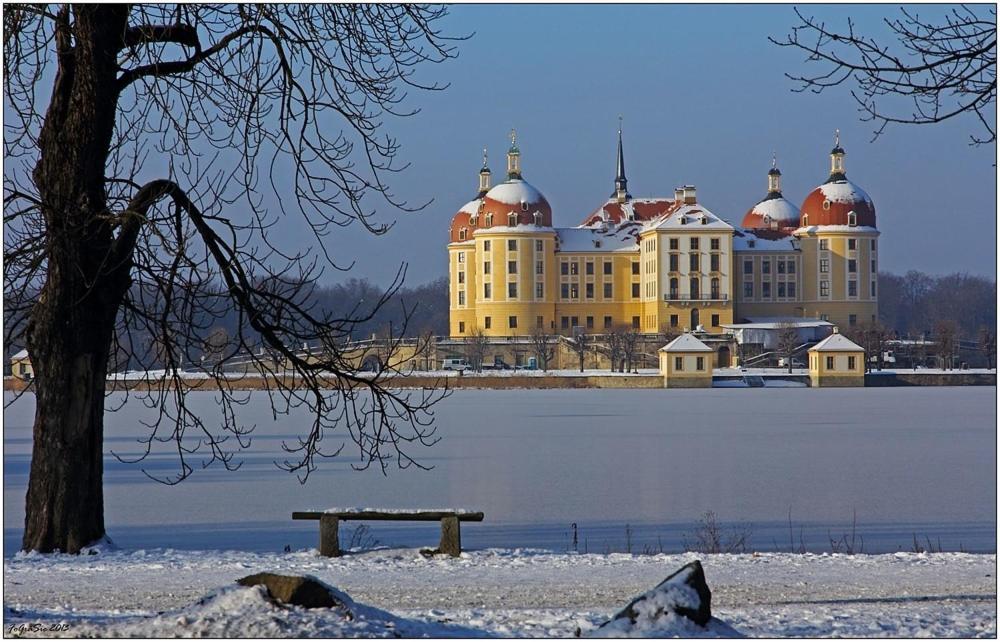 Gartenhaus Klotzsche ドレスデン エクステリア 写真