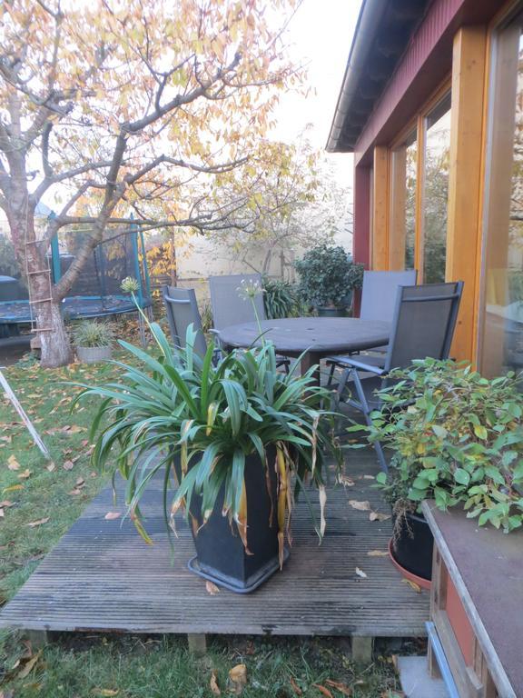 Gartenhaus Klotzsche ドレスデン エクステリア 写真