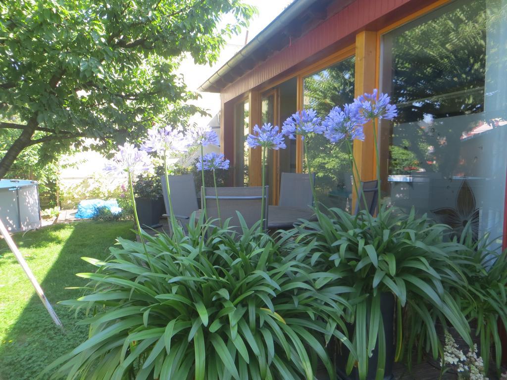Gartenhaus Klotzsche ドレスデン エクステリア 写真