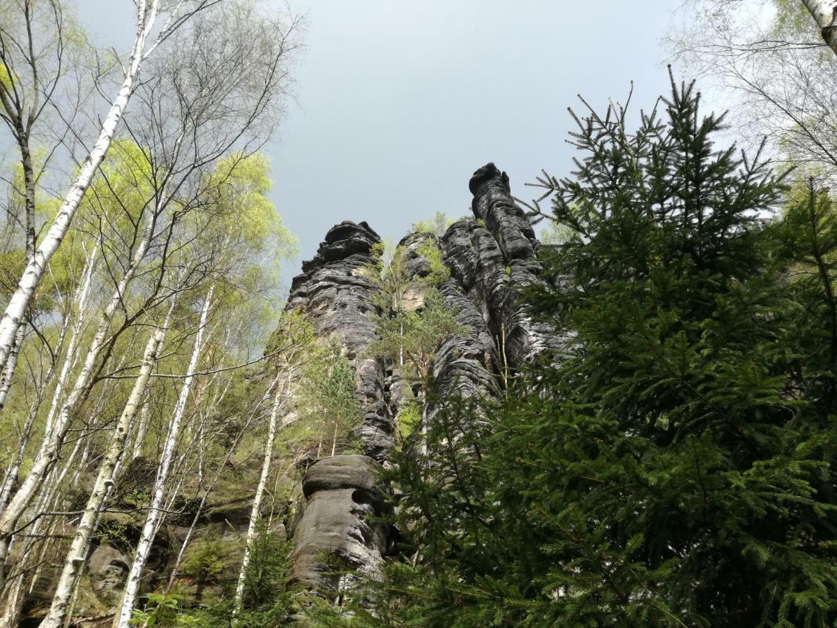 Gartenhaus Klotzsche ドレスデン エクステリア 写真